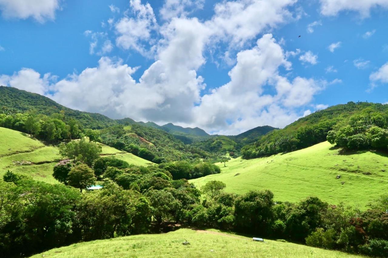 Ferney Nature Lodge Mahébourg エクステリア 写真